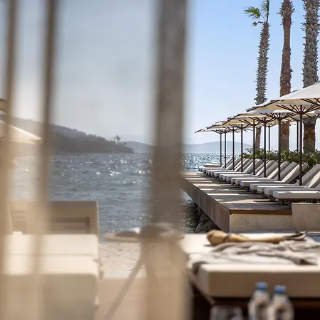 فندق Marina By Social Living Collection